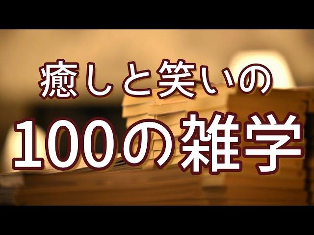 キューピーの本名は「キユーピー」｜癒しと笑いの聞き流し雑学100選（vol.1）｜女性ボイス｜朗読ラジオ｜睡眠導入｜作業用｜朗読雑学｜