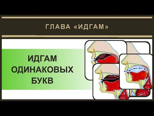 Айман Сувейд. 4. Идгам одинаковых (русские субтитры)