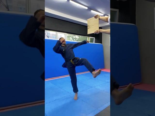 8 Taekwondo kicks / 8 best tricks!