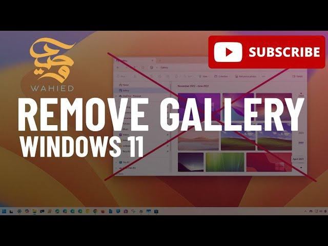 Remove Gallery from File Explorer on Windows 11 2024 Tested