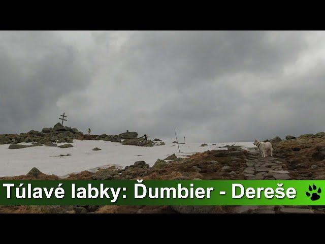 Túlavé labky: Ďumbier - Dereše