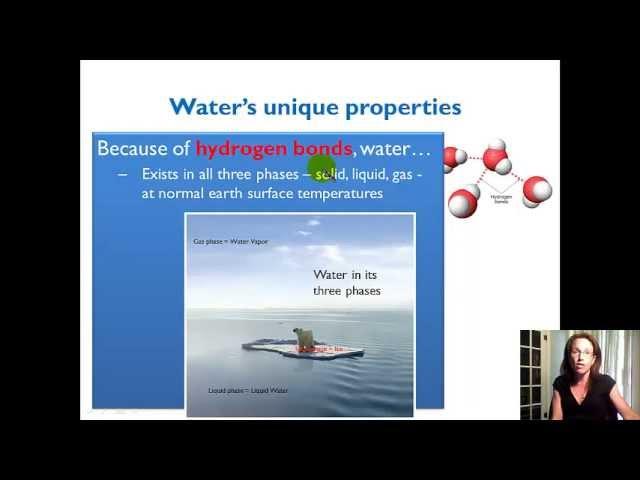 Unique Properties of Water