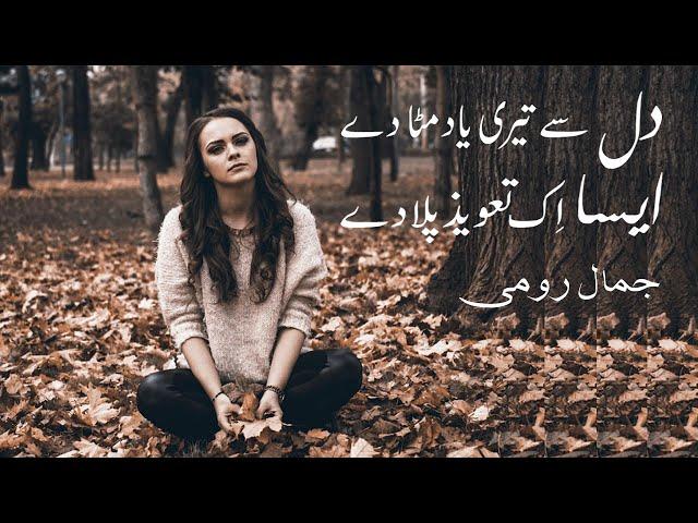 Dil Se Teri Yaad Mita De - Jamal Roomi - Sad Urdu Poetry - دل سے تیری یاد مٹا دے