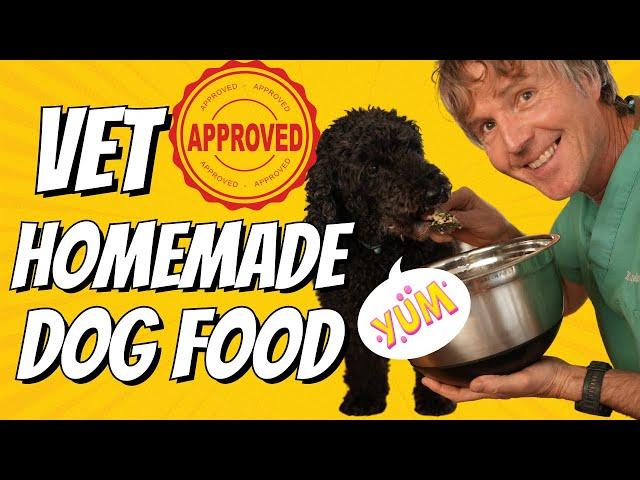 Vet Approved Homemade Dog Food: Good for Digestive Issues