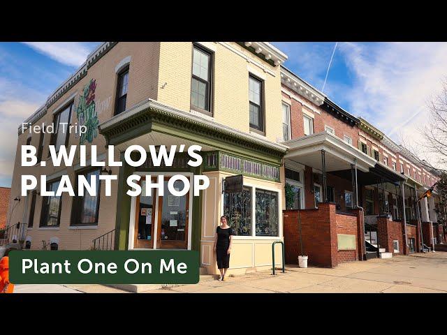 Go Inside B. Willow's Charming BALTIMORE PLANT SHOP — Ep. 375