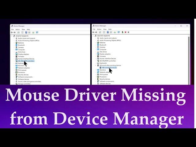 Mice and Other Pointing Devices {Mouse & Touchpad Driver} Missing from Device Manager Windows 10/11