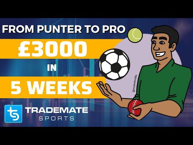 My Journey from Punter to Professional Sports Bettor | Making £3k in 5 weeks using Trademate