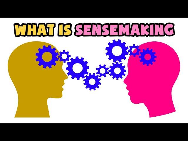 What is Sensemaking | Explained in 2 min