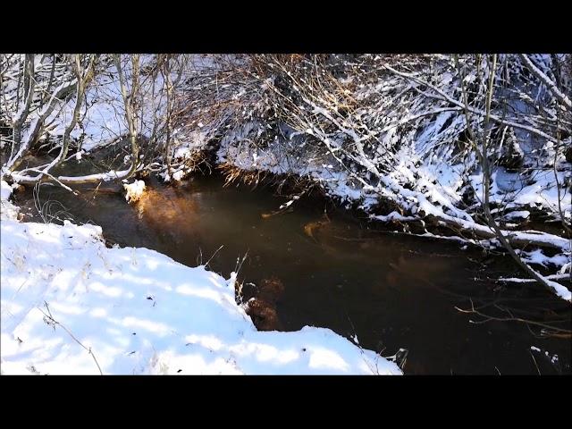 Отпустить усталость в звуке ручья