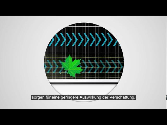 SunPower Verschattung Solarmodule Performance