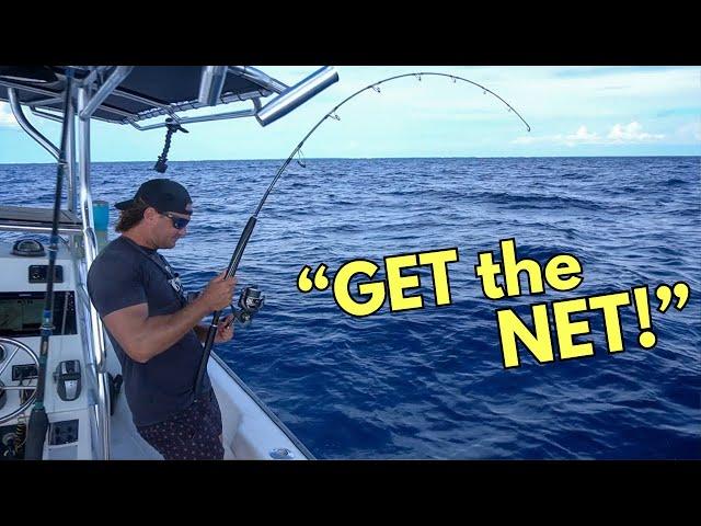 Wasn't expecting that! OFFSHORE fishing catch and cook