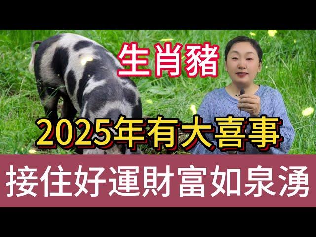 2025 乙巳蛇年，生肖豬撞上大喜，屬豬之人快來，尤其是這個大驚喜！絕對超乎想象！共赴福運之旅！#風水 #生肖 #運勢 #佛教