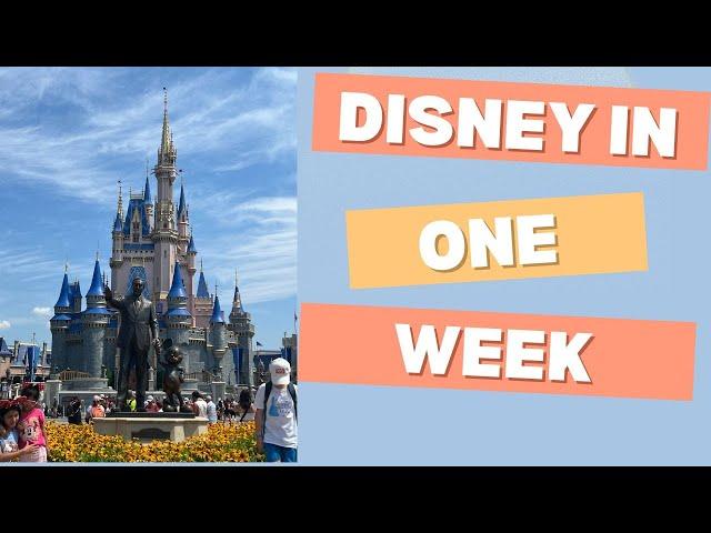 We Spent a Week at Disney World-Tiana’s, Country Bear and More