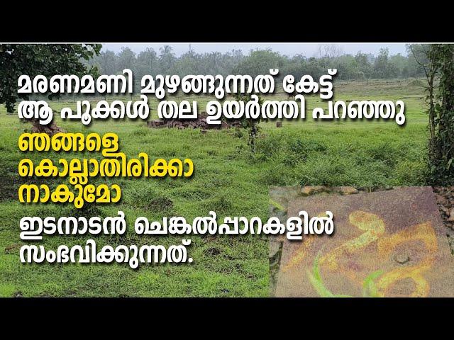 Onapookkal | Laterite rocks |  മരണമണി മുഴങ്ങുന്നത് കേട്ട് ആ പൂക്കൾ തല ഉയർത്തി പറഞ്ഞു,  ഞങ്ങളെ