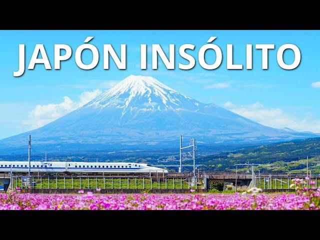 JAPÓN INSÓLITO | Las maravillas más alucinantes de Japón