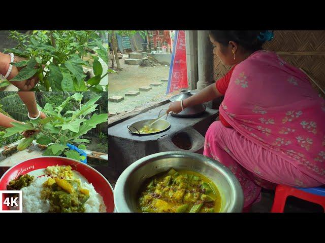 Bangladeshi village cooking | Village life | Village Lifestyle | Eggplant cooking |Vegetable Recipes