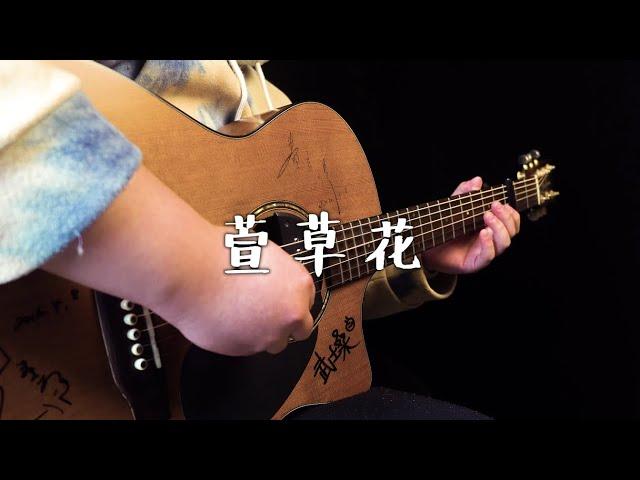 【Fingerstyle】张小斐《萱草花》（电源《你好，李焕英》主题曲）