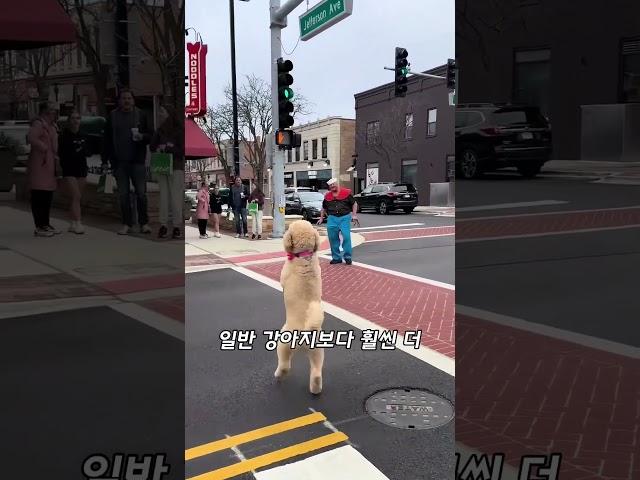 이거 AI 일까요?