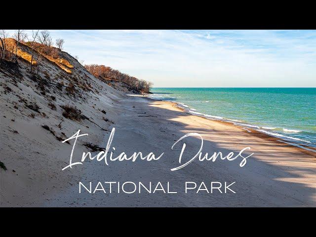 Explore Indiana Dunes: One of America's Most Diverse and Underrated National Parks