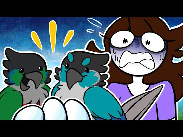 Мои Птицы Снесли Яйца | My Birds Laid Eggs... (озвучка Alisa Царь)