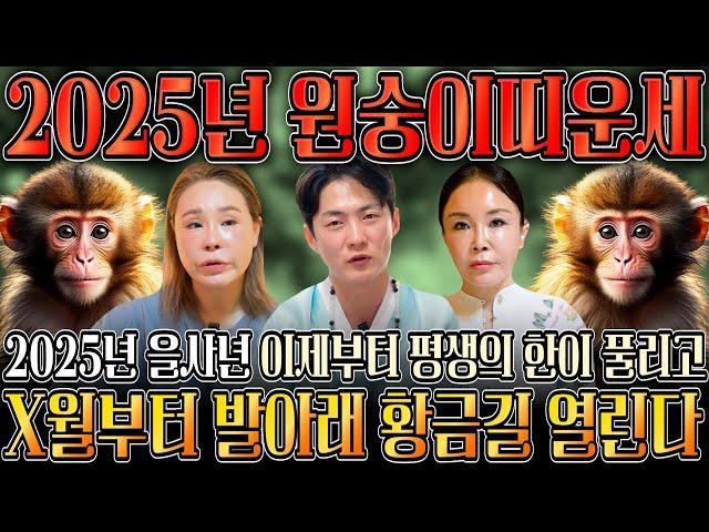 [2025년 을사년 대박나는 원숭이띠운세] 하늘과 조상에서 도와 말년에 대박나는 원숭이띠운세?! 04년생 92년생 80년생 68년생 21세 33세 45세 57세 원숭이띠운세