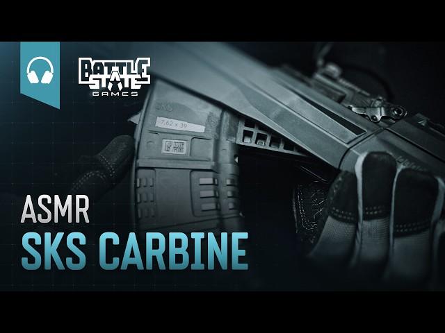 BSG.ASMR.SKS CARBINE