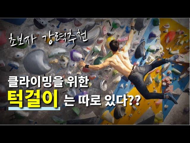 클라이밍 턱걸이 5분 만에 배우기 : 초보자를 위한 효율적인 풀업 트레이닝이란?