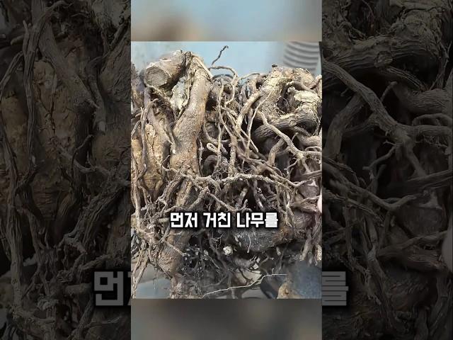 버려진 나무가 프리미엄 공예품이 되는 과정
