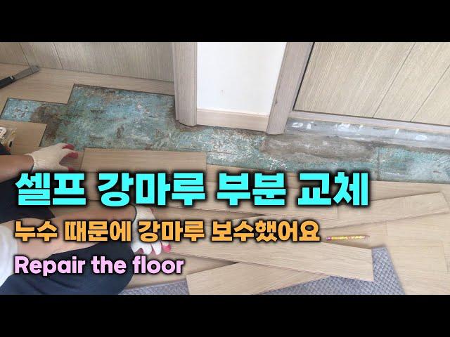 셀프 강마루 부분 교체, 누수 때문에 강마루 보수했어요, Repair the floor