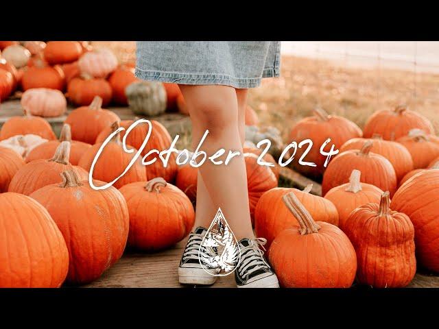 Indie/Rock/Alternative Compilation - October 2024 (2-Hour Playlist)