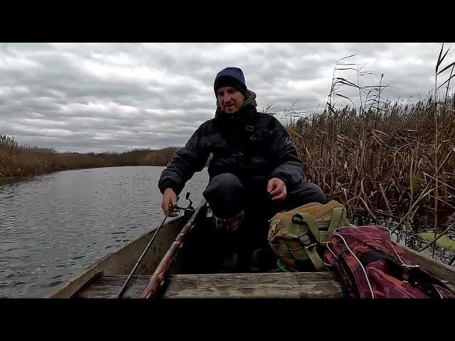 A fisherman with Barsik catches a pike on Stokhod