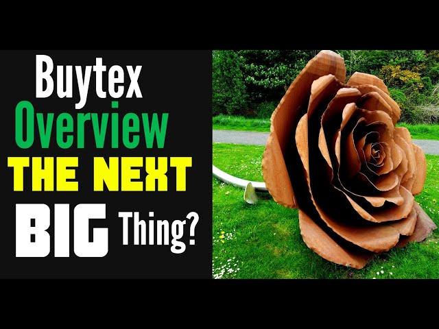 Buytex Overview - The Next Big Thing?!?