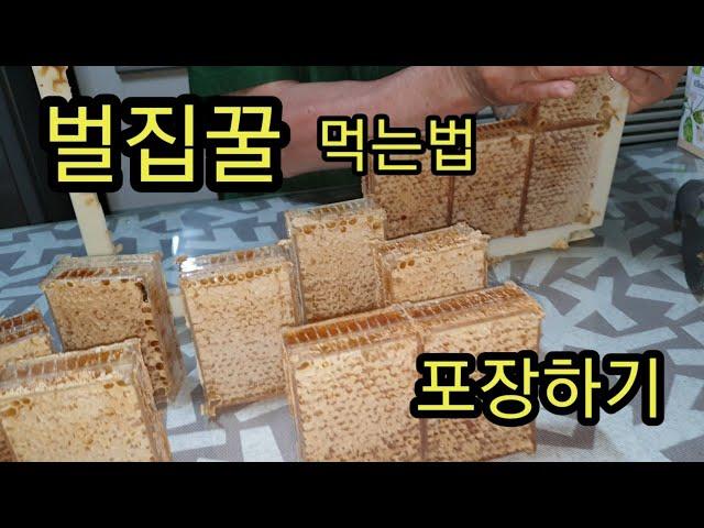 벌집꿀 먹는 방법과 벌집꿀 포장하여 판매하기(honeycomb harvest)