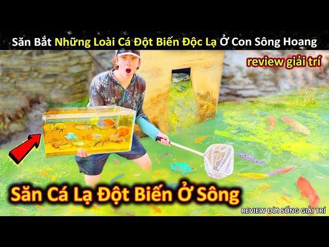 Săn Bắt Đủ Loại Cá Đột Biến Độc Lại Ở Con Sông Bỏ Hoang Gần Nhà || Review Giải Trí Đời Sống