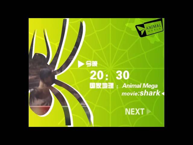 Animal World Channel节目导视