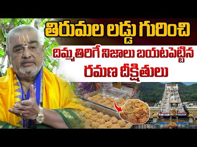 Ramana Deekshitulu Reveals Real Facts About Tirupati Laddu Making | Animal Fat In TTD Laddu | WWT