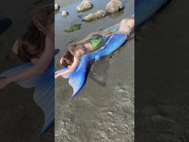 Two mermaids found washed up on the beach in a net.  #realmermaid #mermaid #imadethis #merpeople