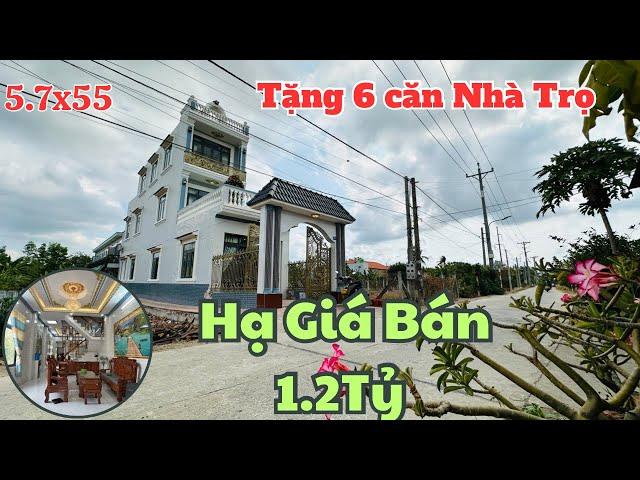 Chủ Ngộp Hạ Giá Bán 1.2Tỷ - Tặng 6 căn nhà Trọ 5.7x55 Gần Ql50 Cầu Mồng Gà |Nhà Đất bình chánh