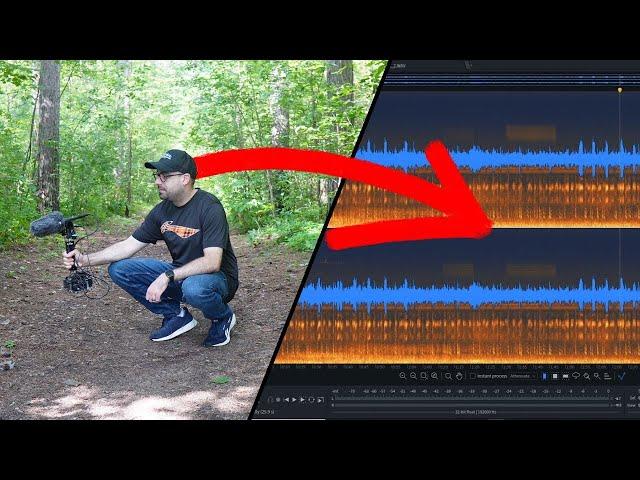 Edit and Prepare Field Recordings to use as Sound Effects