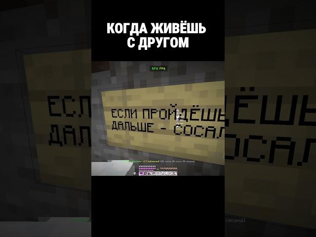 Когда живёшь с другом в майнкрафт  #minecraft #грифснуля  #pvp  #риливорлд  #reallyworld  #домер