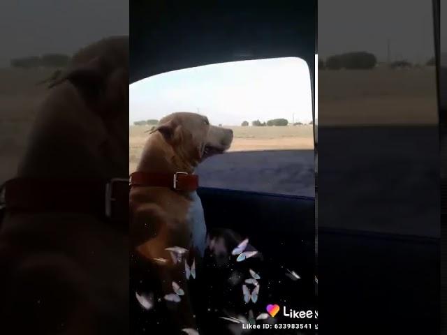 Айби едет на море
