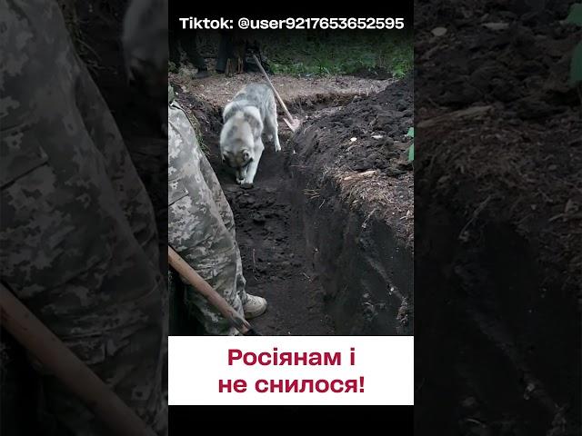  Росіянам таке і не снилося! Новий союзник ЗСУ!