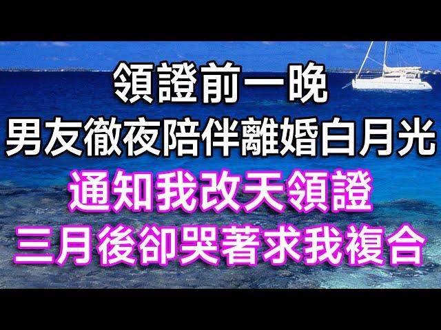 領證前一晚，男友徹夜陪伴離婚白月光，通知我改天領證，三月後卻哭著求我復合！| #故事 #一口氣看完 #結婚 #離婚 #婚姻 #出軌 #白月光 #小三 #婆媳 #婆媳矛盾 #情感故事 #家庭倫理