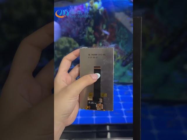 4.66 inch TFT LCD 720RGBx1280 Display with MIPI Display #tftlcddisplaymodule #tft
