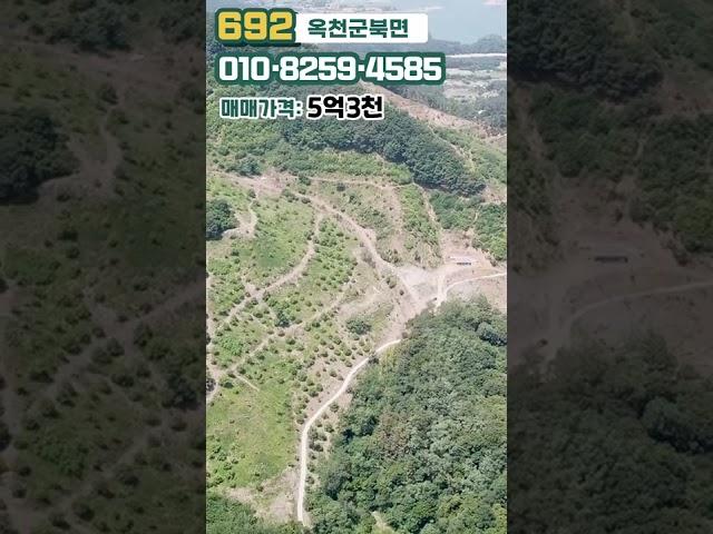 No.692 충북옥천군 군북면 토지! 대청호를 품은 천혜의 자연환경을 가진 토지에서 자연인은 바로 나.. 다양한 유실수와 약초재배까지! #shorts