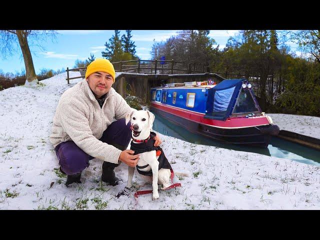 A week in the life of a boat dog | Winter narrowboat life - 262