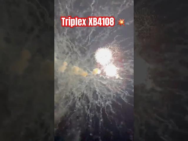 100 Shots : Big Salute Cake : Triplex XB4108 #feuerwerk  #fireworks #vuurwerk #pyro