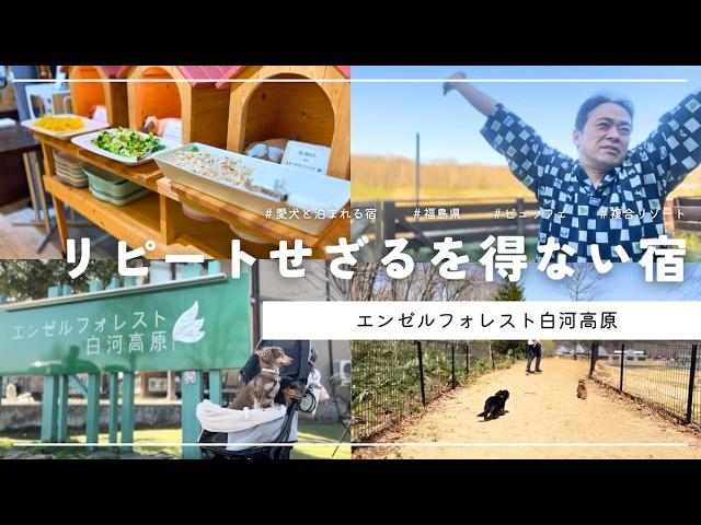 [Travel with your dog in Fukushima] Holidays at Angel Forest Shirakawa Kogen! A thorough introduc...