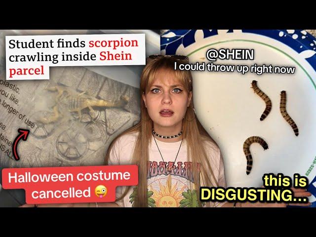 TikTok Is Exposing Shein For Sending SCORPIONS In Their Packages…