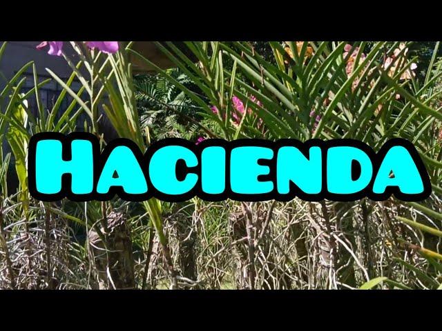 HACIENDA NI KAEL ELKINS#lyntek#KAEL ELKINS#AMAZINGYAGZCHANNEL